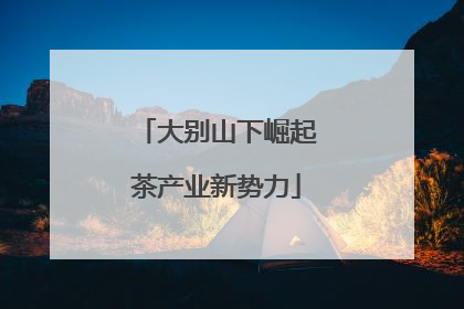 大别山下崛起茶产业新势力